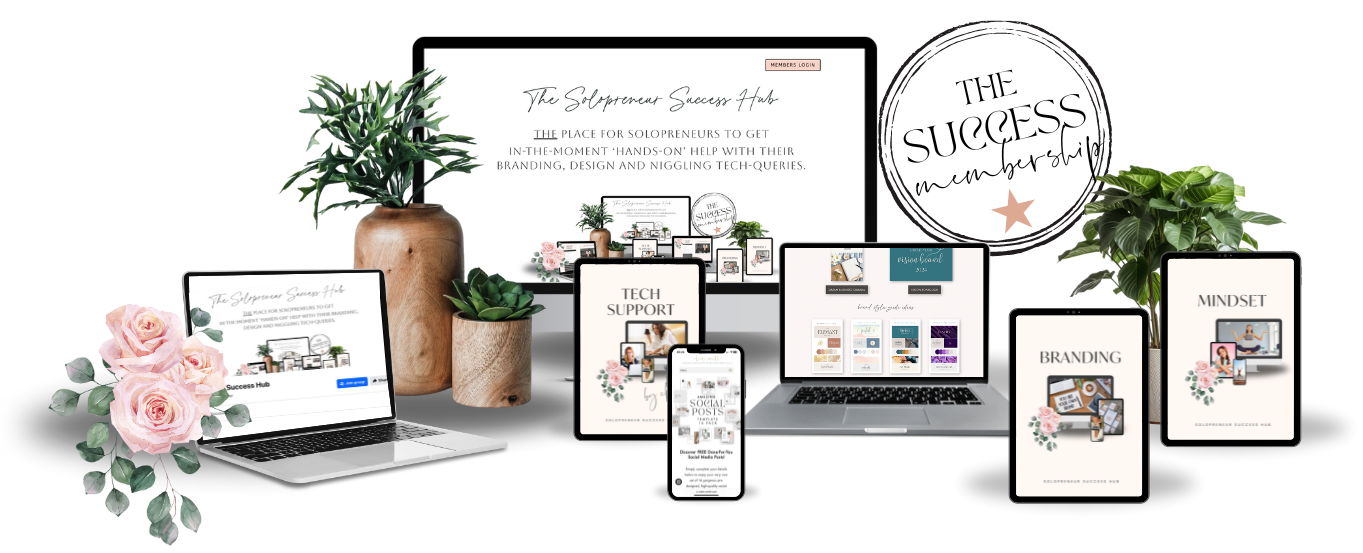 Solopreneur Success Hub